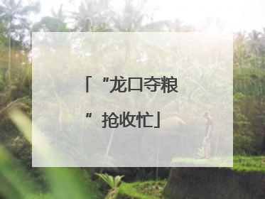 “龙口夺粮”抢收忙