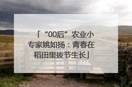 “00后”农业小专家姚如扬：青春在稻田里拔节生长