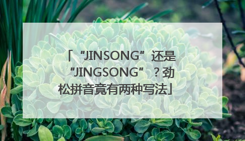 “JINSONG”还是“JINGSONG”？劲松拼音竟有两种写法