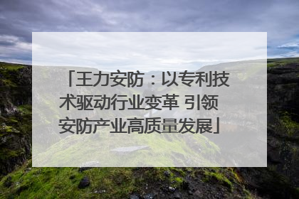 王力安防：以专利技术驱动行业变革 引领安防产业高质量发展