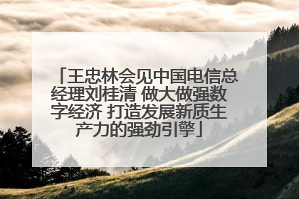 王忠林会见中国电信总经理刘桂清 做大做强数字经济 打造发展新质生产力的强劲引擎