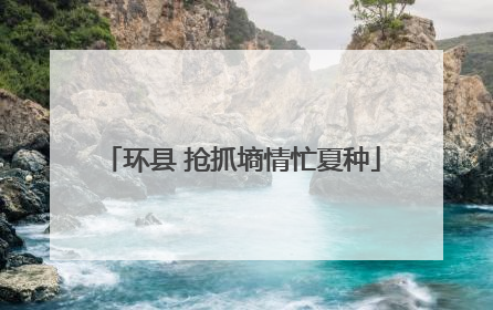 环县 抢抓墒情忙夏种