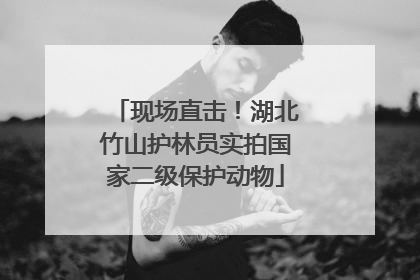 现场直击！湖北竹山护林员实拍国家二级保护动物