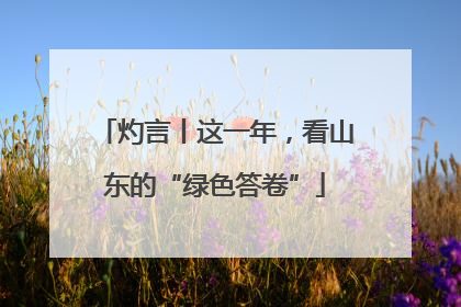 灼言丨这一年，看山东的“绿色答卷”