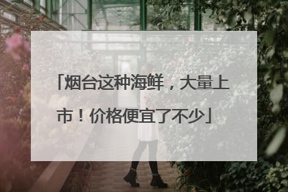 烟台这种海鲜，大量上市！价格便宜了不少