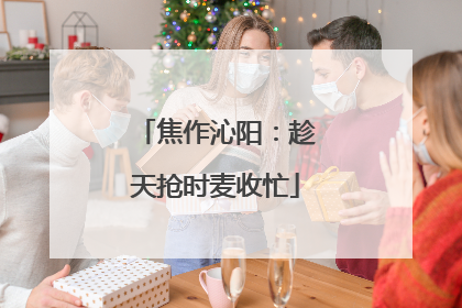 焦作沁阳：趁天抢时麦收忙