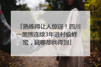 熟练得让人惊讶！四川一黑熊连续3年进村偷蜂蜜，藏哪都找得到