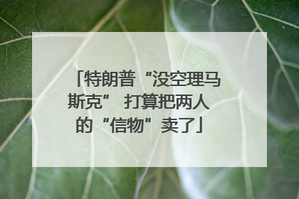 特朗普“没空理马斯克” 打算把两人的“信物”卖了