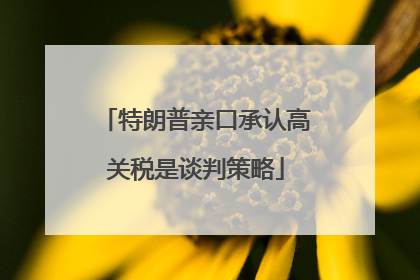 特朗普亲口承认高关税是谈判策略