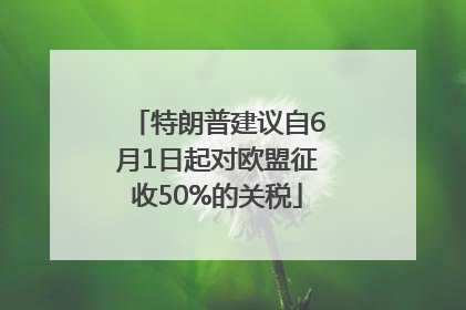 特朗普建议自6月1日起对欧盟征收50%的关税