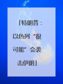 特朗普：以色列“很可能”会袭击伊朗