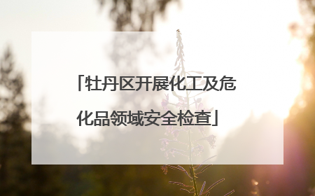 牡丹区开展化工及危化品领域安全检查