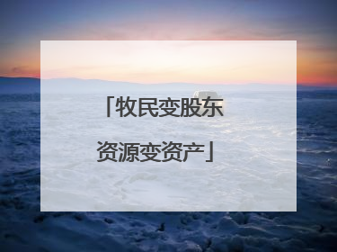 牧民变股东 资源变资产