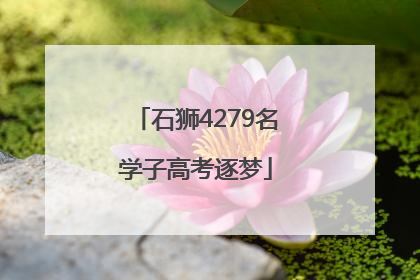 石狮4279名学子高考逐梦