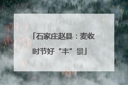 石家庄赵县：麦收时节好“丰”景