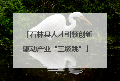 石林县人才引领创新驱动产业“三级跳”