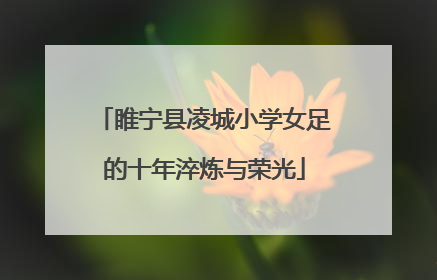 睢宁县凌城小学女足的十年淬炼与荣光