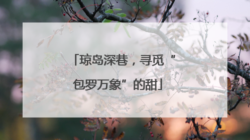 琼岛深巷，寻觅“包罗万象”的甜
