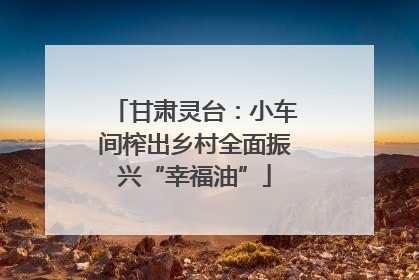 甘肃灵台：小车间榨出乡村全面振兴“幸福油”