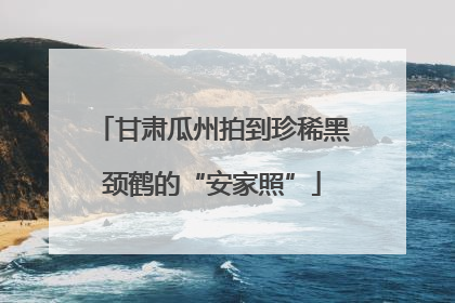 甘肃瓜州拍到珍稀黑颈鹤的“安家照”