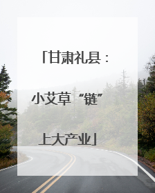 甘肃礼县：小艾草“链”上大产业
