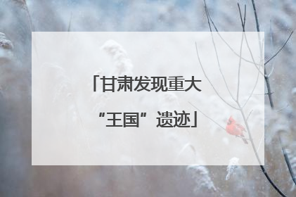 甘肃发现重大“王国”遗迹