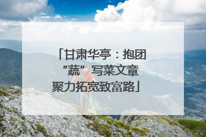 甘肃华亭：抱团“蔬”写菜文章 聚力拓宽致富路