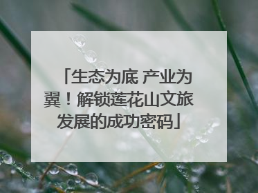 生态为底 产业为翼！解锁莲花山文旅发展的成功密码