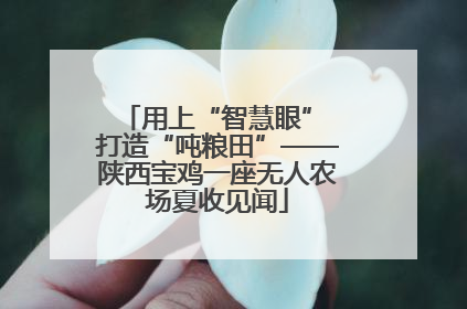 用上“智慧眼” 打造“吨粮田”——陕西宝鸡一座无人农场夏收见闻
