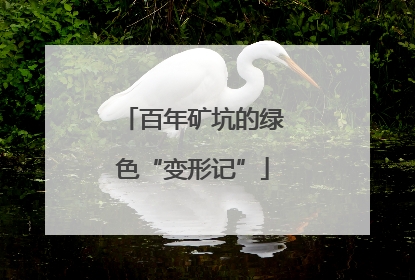 百年矿坑的绿色“变形记”