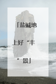 盐碱地上好“丰”景
