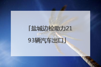 盐城边检助力2193辆汽车出口