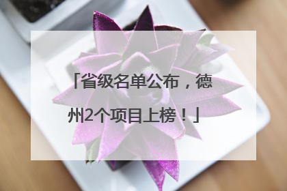 省级名单公布，德州2个项目上榜！