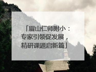 眉山仁师附小：专家引领促发展，精研课题启新篇