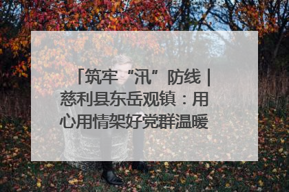 筑牢“汛”防线｜慈利县东岳观镇：用心用情架好党群温暖悠长的“连心桥”