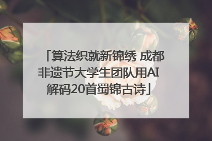 算法织就新锦绣 成都非遗节大学生团队用AI解码20首蜀锦古诗
