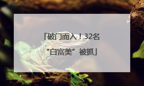破门而入！32名“白富美”被抓