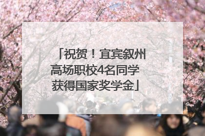 祝贺！宜宾叙州高场职校4名同学获得国家奖学金
