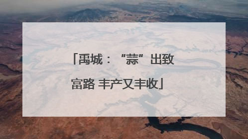 禹城：“蒜”出致富路 丰产又丰收