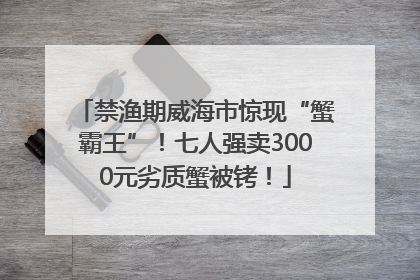 禁渔期威海市惊现“蟹霸王”！七人强卖3000元劣质蟹被铐！