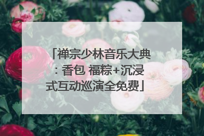 禅宗少林音乐大典：香包 福粽+沉浸式互动巡演全免费