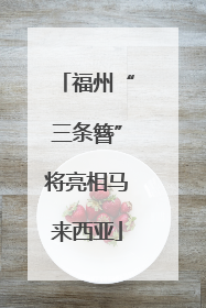 福州“三条簪”将亮相马来西亚