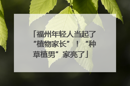 福州年轻人当起了“植物家长”！“种草植男”家亮了
