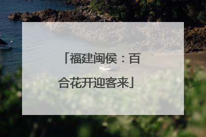 福建闽侯：百合花开迎客来