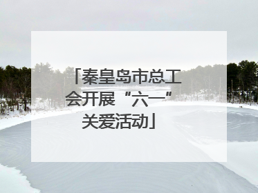 秦皇岛市总工会开展“六一”关爱活动