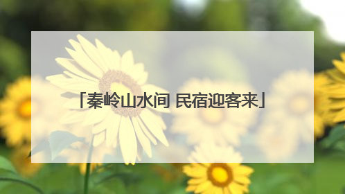 秦岭山水间 民宿迎客来