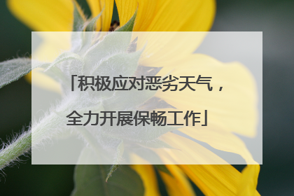 积极应对恶劣天气，全力开展保畅工作