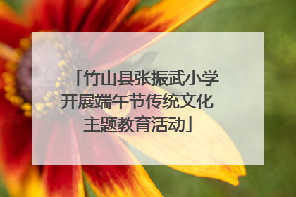 竹山县张振武小学开展端午节传统文化主题教育活动
