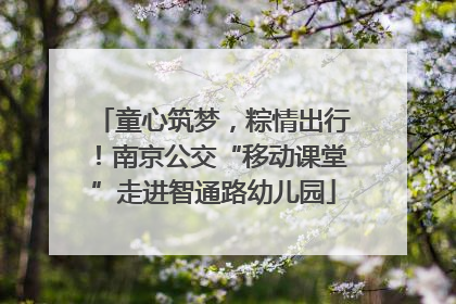 童心筑梦，粽情出行！南京公交“移动课堂”走进智通路幼儿园