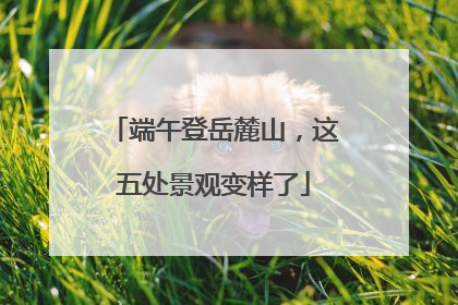 端午登岳麓山，这五处景观变样了